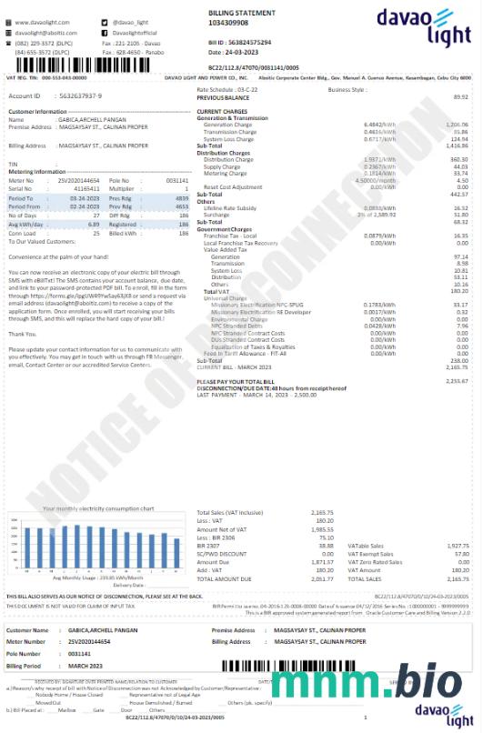 USA DAVAO LIGHT rachunek za media Word i szablon PDF